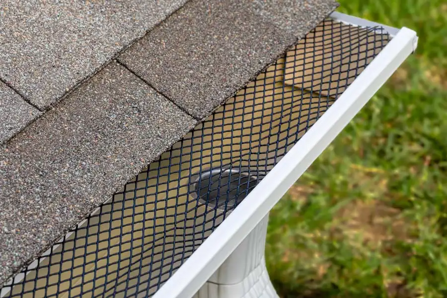 Gutter Cleaning