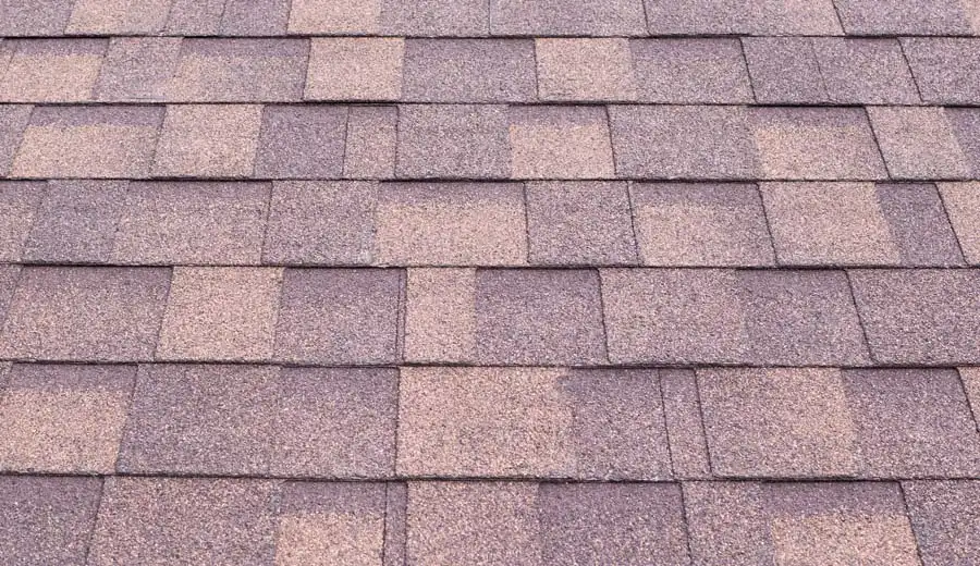 Roof Replacement